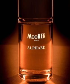 Johncapote.shop9886aacf50 1